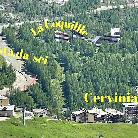 Coquille Cielo Alto Cervinia Apartman *