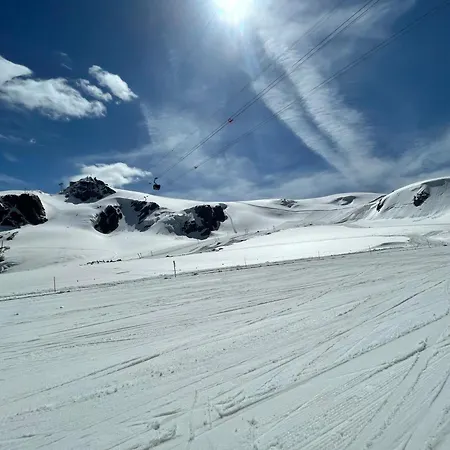Coquille Cielo Alto Cervinia *