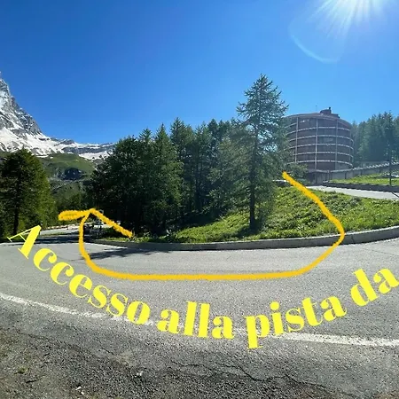 Coquille Cielo Alto Cervinia *
